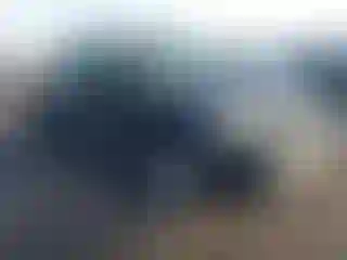 Vehicle Image- 2007 Toyota Tacoma