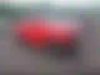 Vehicle Image- 2007 Toyota Tacoma