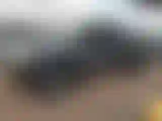 Vehicle Image- 2010 Toyota Tacoma