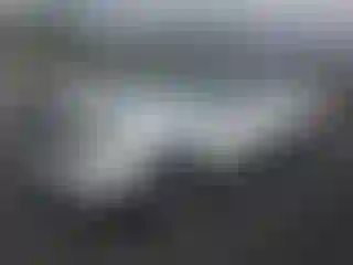 Vehicle Image- 2010 Toyota Tacoma