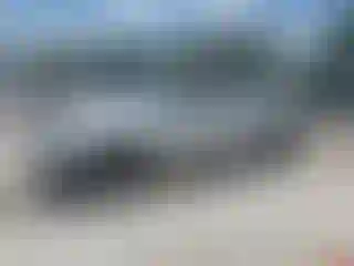 Vehicle Image- 2010 Toyota Tacoma