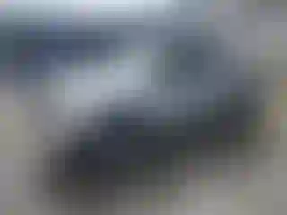 Vehicle Image- 2008 Toyota Tacoma