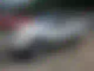 Vehicle Image- 2008 Toyota Tacoma
