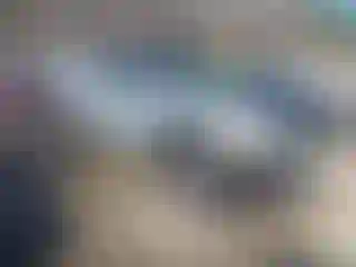 Vehicle Image- 2006 Toyota Tacoma