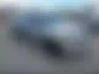 Vehicle Image- 2007 Toyota Tacoma