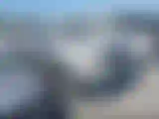 Vehicle Image- 2008 Toyota Tacoma