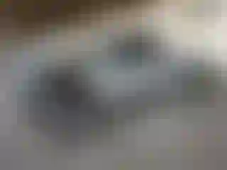 Vehicle Image- 2007 Toyota Tacoma