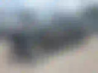 Vehicle Image- 2009 Toyota Tacoma