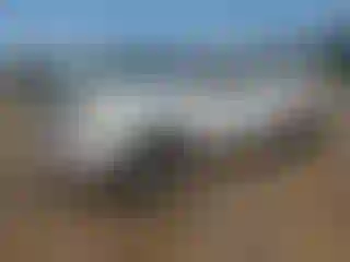 Vehicle Image- 2006 Toyota Tacoma