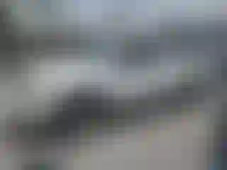 Vehicle Image- 2006 Toyota Tacoma