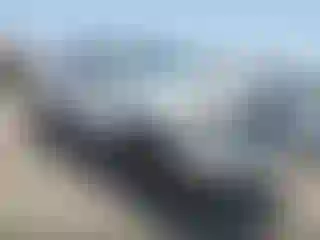 Vehicle Image- 2009 Toyota Tacoma