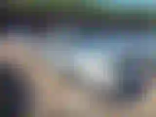 Vehicle Image- 2005 Toyota Tacoma