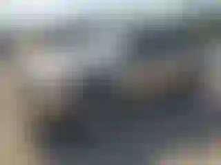 Vehicle Image- 2007 Toyota Tacoma