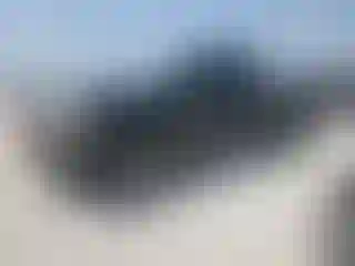 Vehicle Image- 2007 Toyota Tacoma