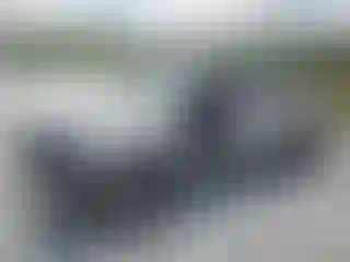 Vehicle Image- 2007 Toyota Tacoma
