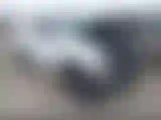 Vehicle Image- 2006 Toyota Tacoma