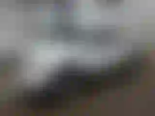 Vehicle Image- 2008 Toyota Tacoma