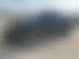 Vehicle Image- 2009 Toyota Tacoma