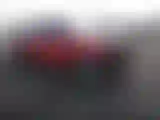 Vehicle Image- 2009 Toyota Tacoma