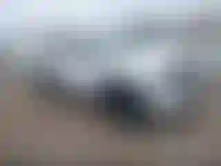 Vehicle Image- 2006 Toyota Tacoma