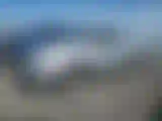 Vehicle Image- 2009 Toyota Tacoma