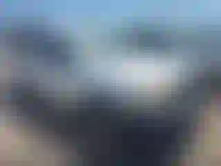 Vehicle Image- 2008 Toyota Tacoma