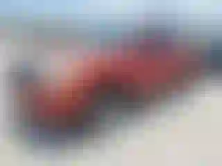 Vehicle Image- 2007 Toyota Tacoma