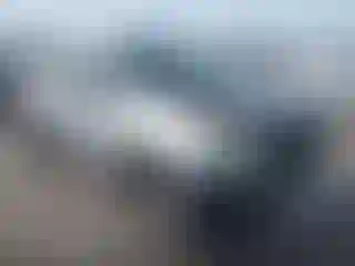 Vehicle Image- 2008 Toyota Tacoma