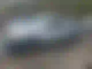 Vehicle Image- 2006 Toyota Tacoma