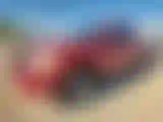 Vehicle Image- 2007 Toyota Tacoma