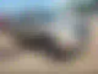 Vehicle Image- 2006 Toyota Tacoma