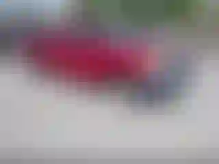 Vehicle Image- 2006 Toyota Tacoma