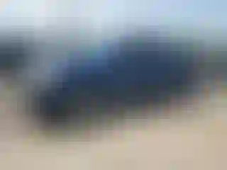 Vehicle Image- 2008 Toyota Tacoma