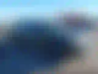 Vehicle Image- 2009 Toyota Tacoma