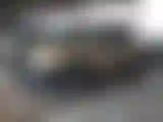 Vehicle Image- 2005 Toyota Tacoma