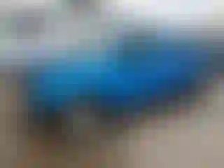 Vehicle Image- 2010 Toyota Tacoma