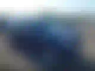 Vehicle Image- 2007 Toyota Tacoma