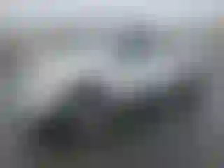 Vehicle Image- 2008 Toyota Tacoma