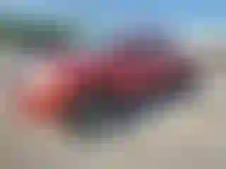 Vehicle Image- 2008 Toyota Tacoma