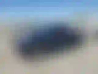 Vehicle Image- 2008 Toyota Tacoma