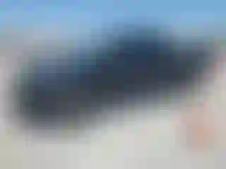 Vehicle Image- 2005 Toyota Tacoma