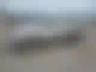 Vehicle Image- 2006 Toyota Tacoma