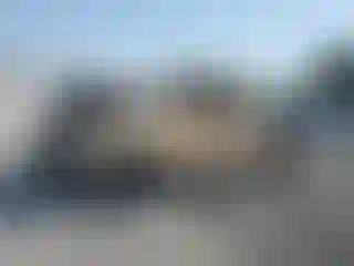 Vehicle Image- 2006 Toyota Tacoma