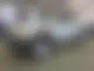 Vehicle Image- 2007 Toyota Tacoma