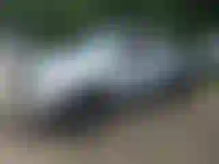 Vehicle Image- 2007 Toyota Tacoma