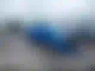 Vehicle Image- 2005 Toyota Tacoma