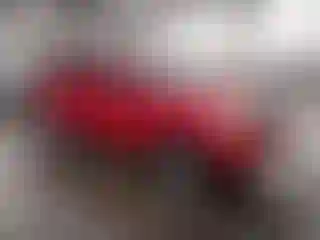 Vehicle Image- 2006 Toyota Tacoma