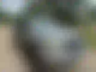 Vehicle Image- 2008 Toyota Tacoma