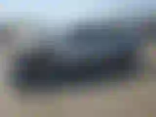 Vehicle Image- 2008 Toyota Tacoma