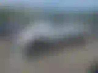 Vehicle Image- 2007 Toyota Tacoma